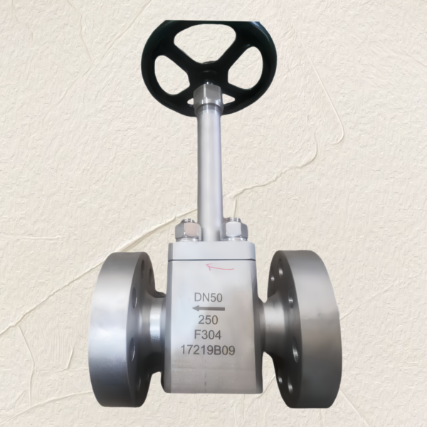 Cng Lng Lpg Bs Cryogenic Globe Valve Forged Bolted Extended Bonnet