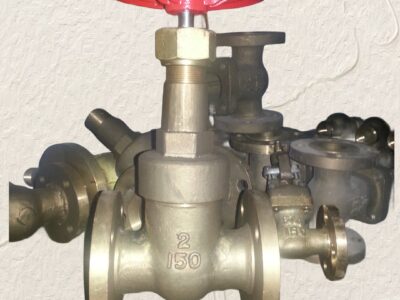 Screwed bonnet gate valve