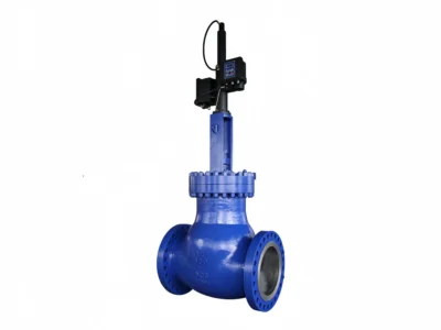 24 CL600 Pressure-Balanced Cage-Guided Control Valve with Electro-Hydraulic Actuator (1)