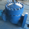 30" 600LB Metal seated swing check valve - Image 7