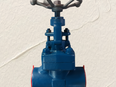 API 602 pattern forged globe valve