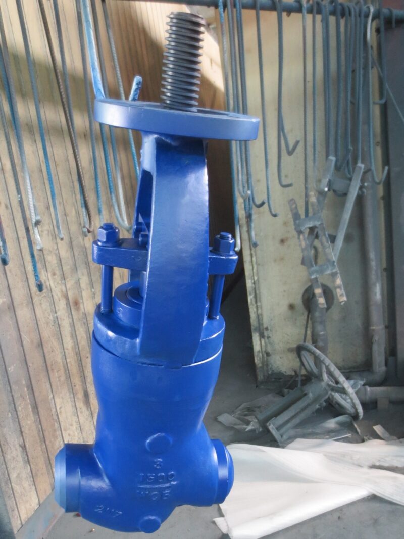 PSB Globe valve thermal duty - Image 2