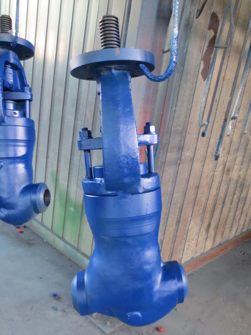 PSB Globe valve thermal duty - Image 4