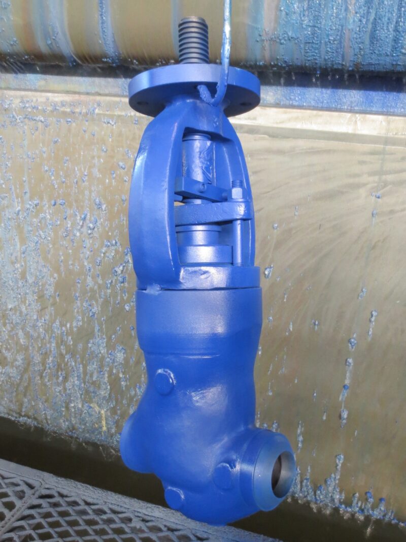 PSB Globe valve thermal duty - Image 3