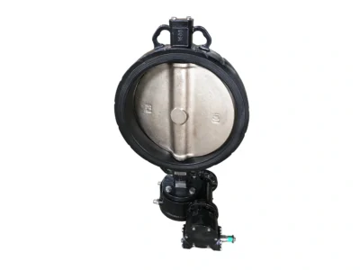 Wafer Butterfly Valve with Loose Liner