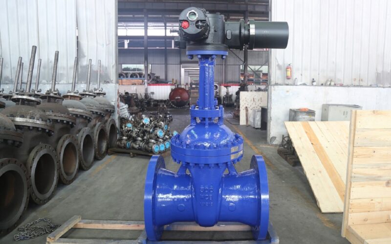 Solid wedge gate valve, BB, OS&Y, RS, motorised - Image 3