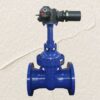 Solid wedge gate valve, BB, OS&Y, RS, motorised