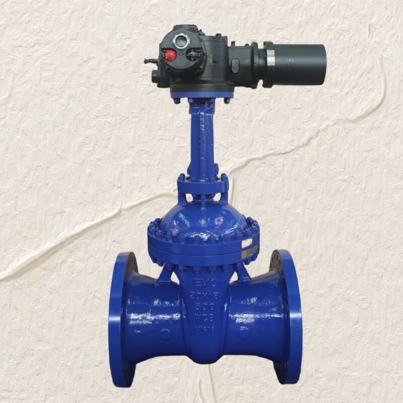 Solid wedge gate valve, BB, OS&Y, RS, motorised