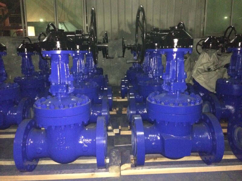 Manual gear flexible wedge gate valve - Image 9