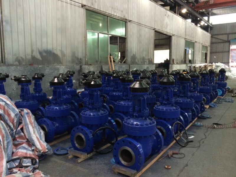 Manual gear flexible wedge gate valve - Image 10