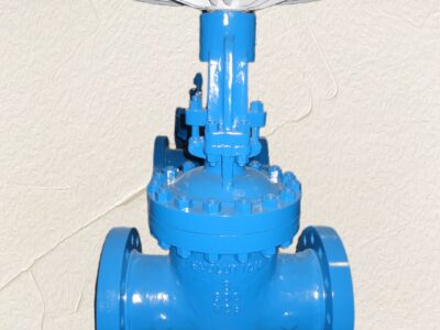 Manual gear flexible wedge gate valve