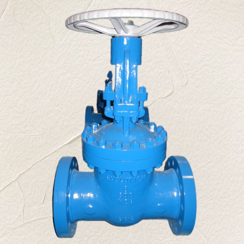 Manual gear flexible wedge gate valve