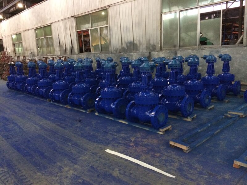 Manual gear flexible wedge gate valve - Image 11