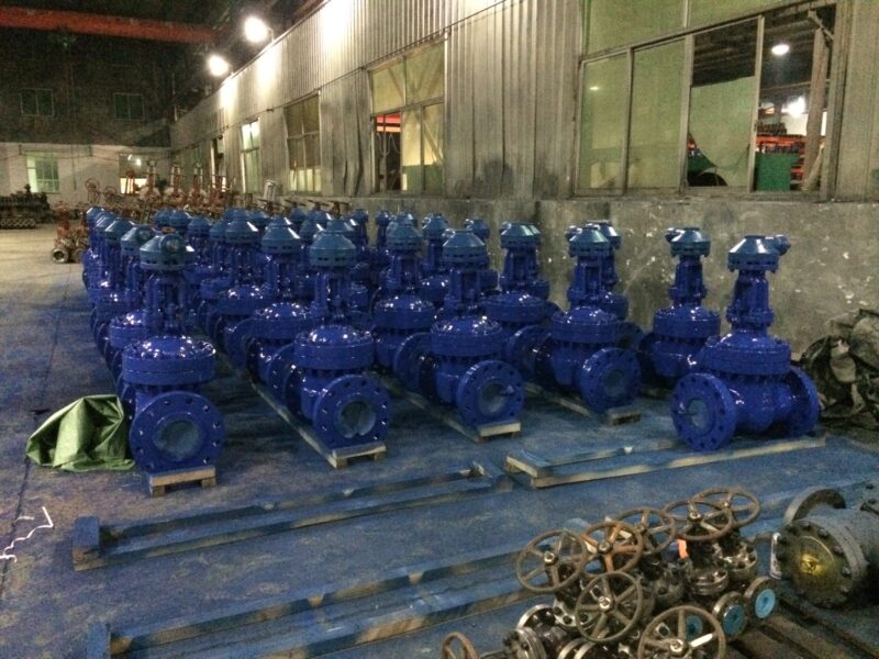 Manual gear flexible wedge gate valve - Image 12