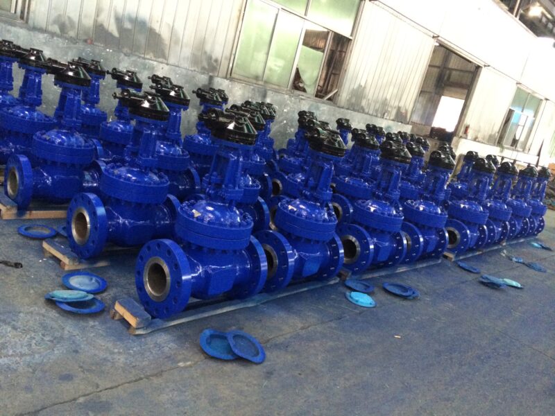 Manual gear flexible wedge gate valve - Image 13