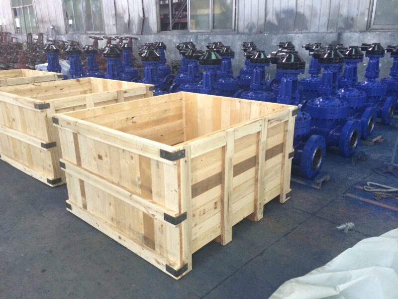 Manual gear flexible wedge gate valve - Image 14