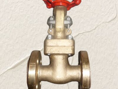 Gate valve BB RS OS&Y in bronze or brass