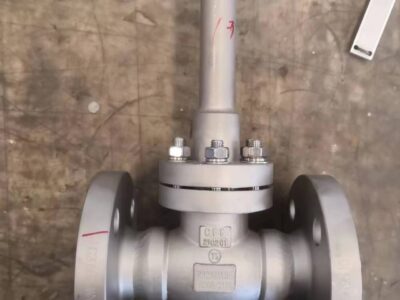 CNG LNG LPG Cryogenic globe valve