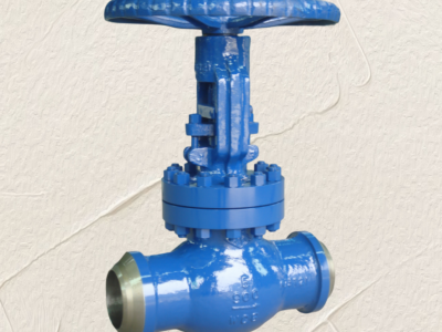 High pressure globe valve