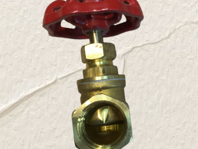 Plumbing brass globe valve