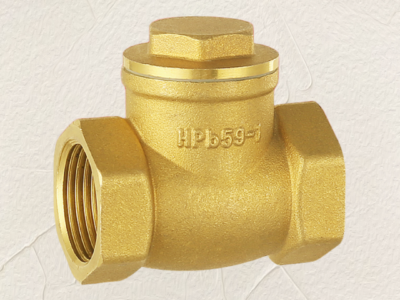 Plumbing brass check valve