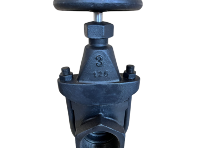 U bolt gate valve