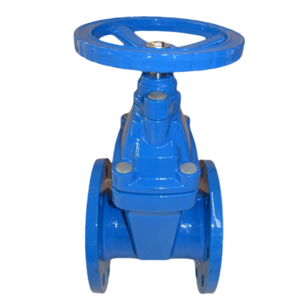 NRS Resilient Seated Gate Valve - Image 2