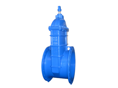 NRS Resilient Seated Gate Valve