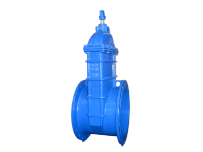 NRS Resilient Seated Gate Valve