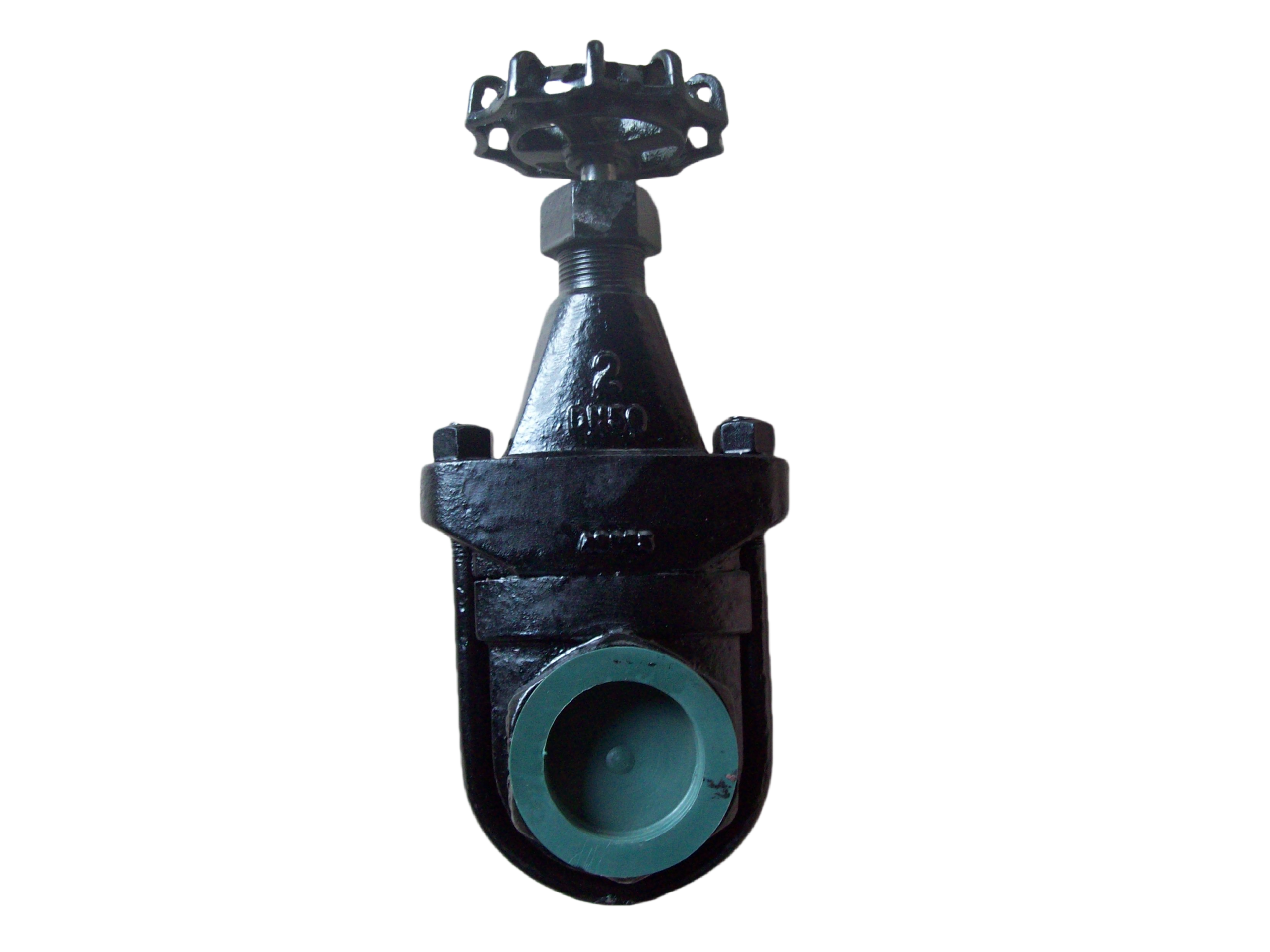 U Bolt Gate Valve