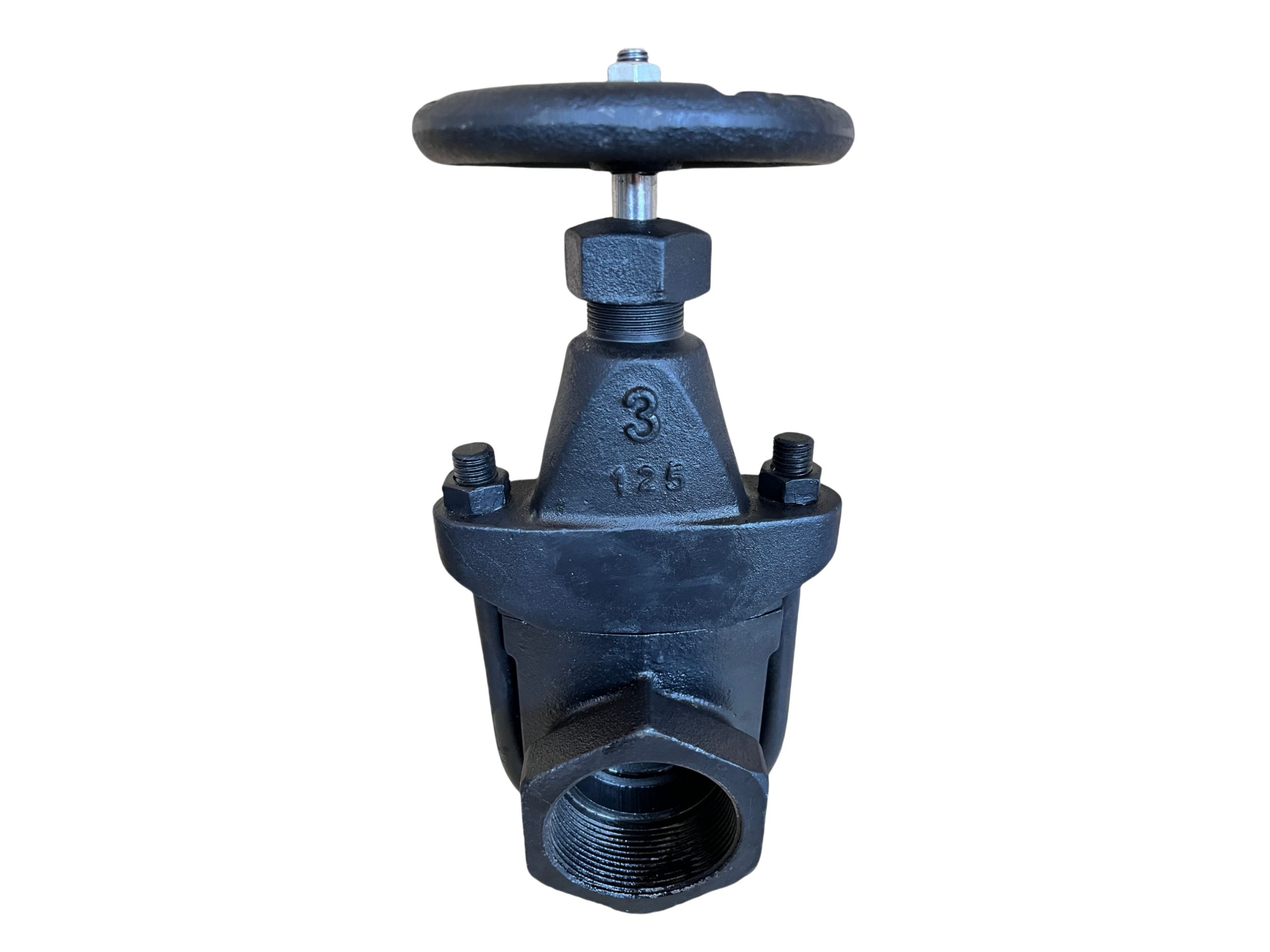 U Bolt Gate Valve - Image 3