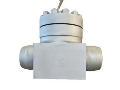 Swing Check Valve Open Die Forged---8" 2500LB BW