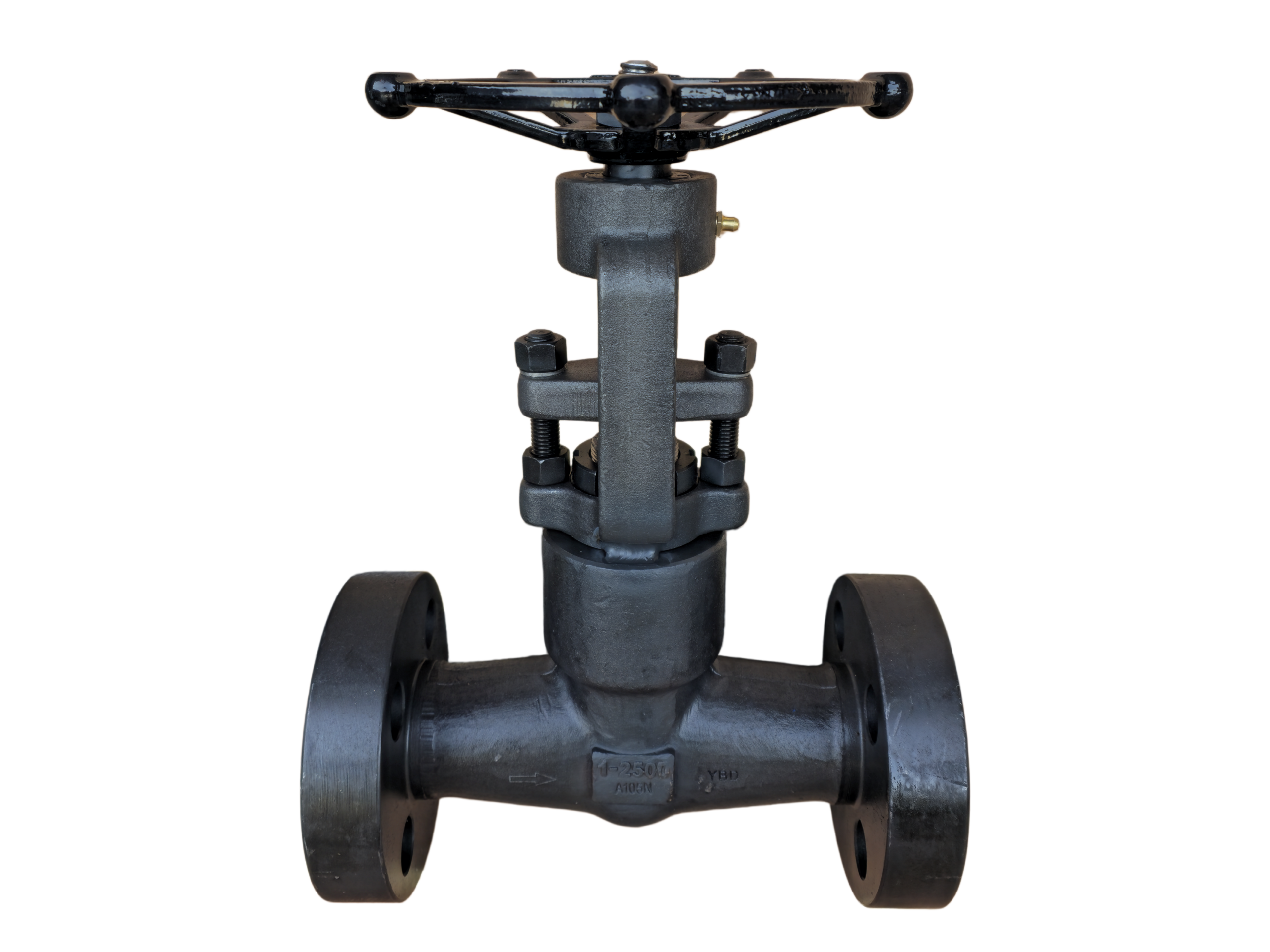 Globe Valve Closed Die Forged---1" 2500LB RF