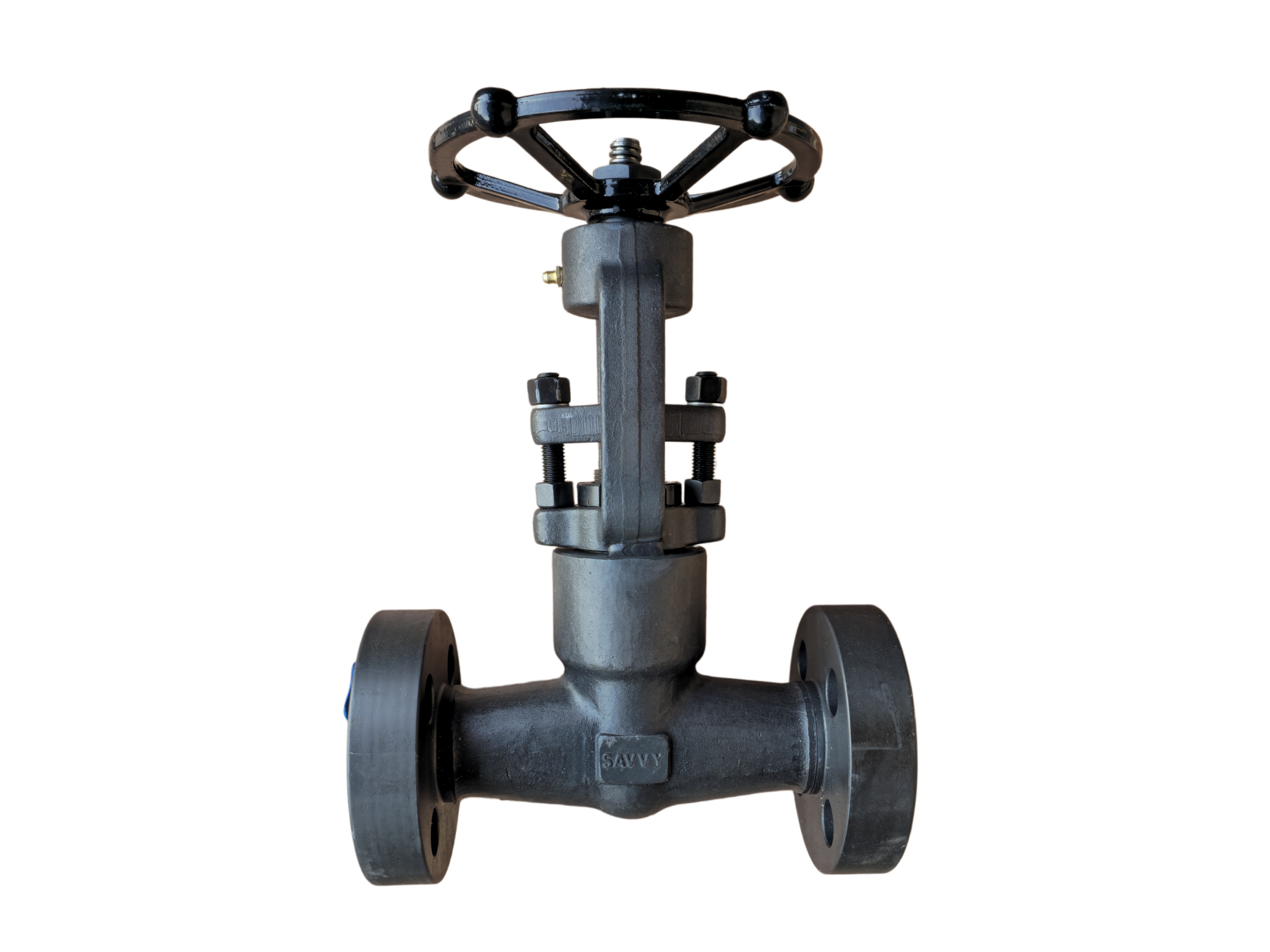 Globe Valve Closed Die Forged---1" 2500LB RF - Image 4