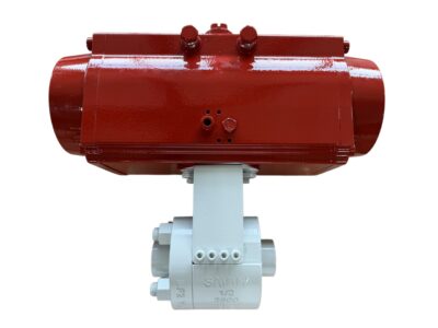 ESD Floating Ball Valve-1/2" 2500LB BSPP