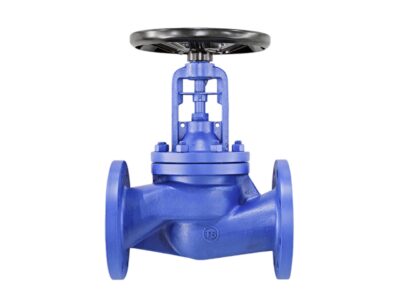 Bellows Seal Globe Valve-DN100 PN25 RF
