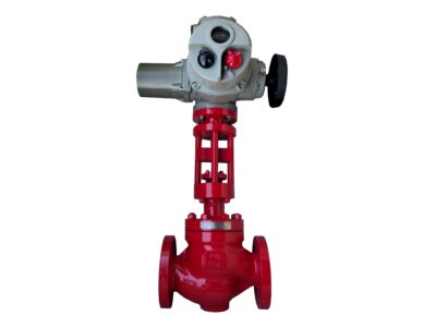 Control Valve Type Globe Balanced Caged