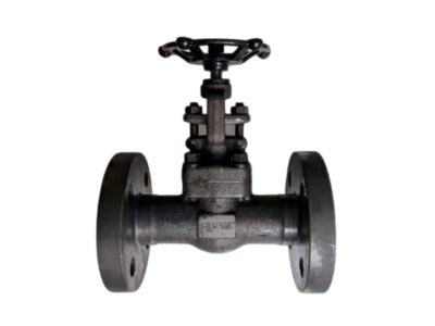 Close Die Forged A105N Globe Valve DN25-PN63-RF