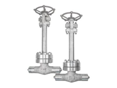F316 Globe Valve for Cryogenic-1/2" 2500LB BW