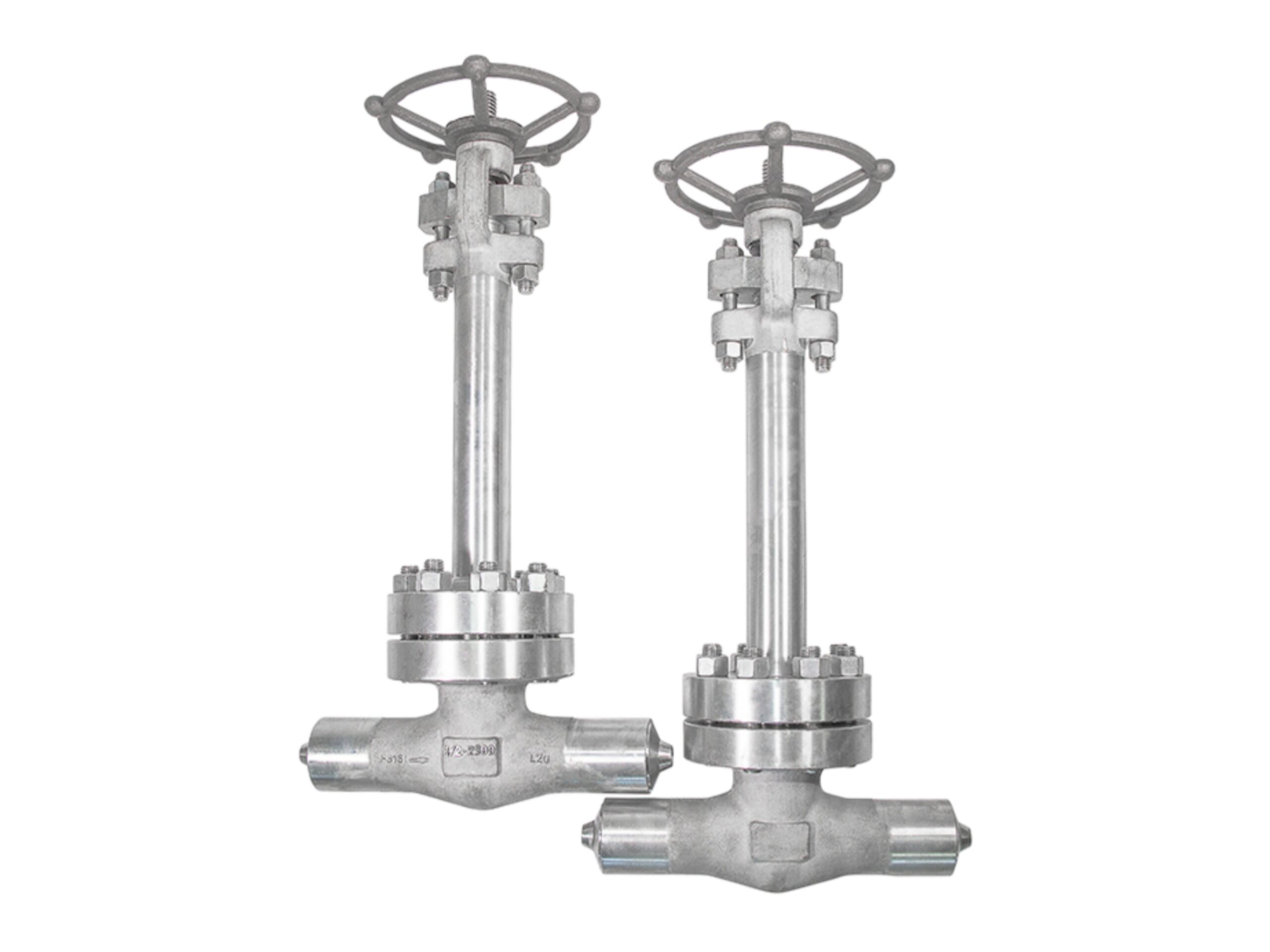 F316 Globe Valve for Cryogenic-1/2" 2500LB BW