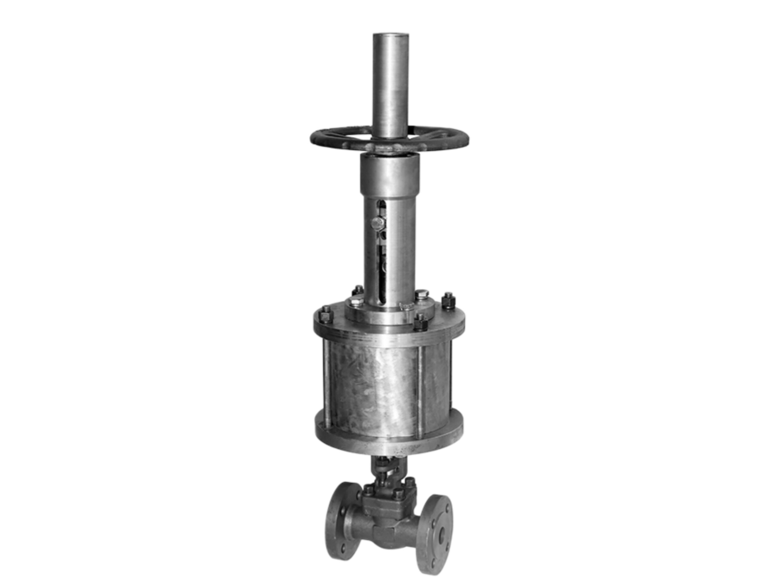 Globe Valve Pneumatic Actuated-DN25 PN25 RF - Image 2