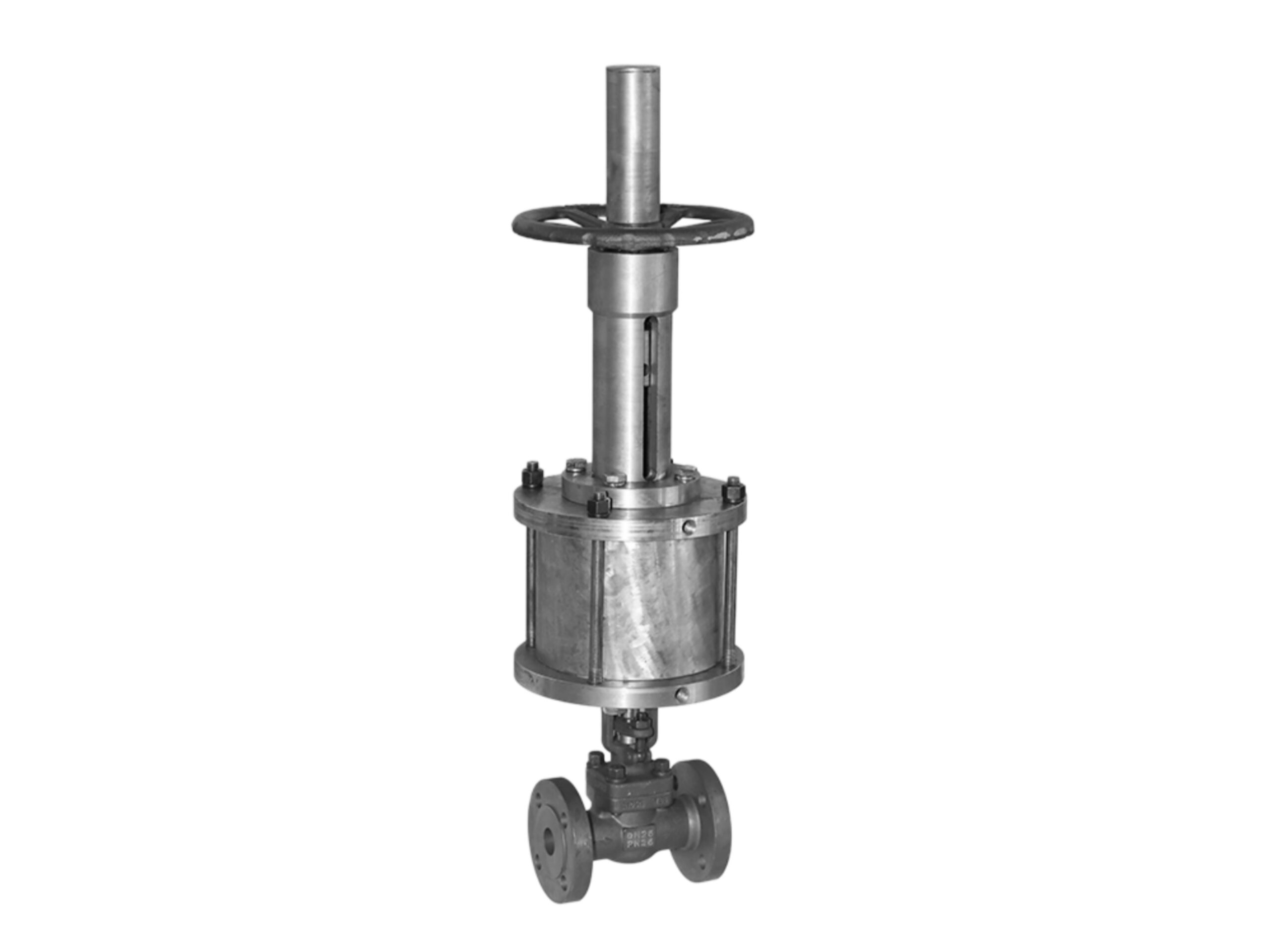 Globe Valve Pneumatic Actuated-DN25 PN25 RF - Image 3