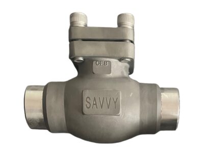 Lift Check Valve for Cryogenic Service