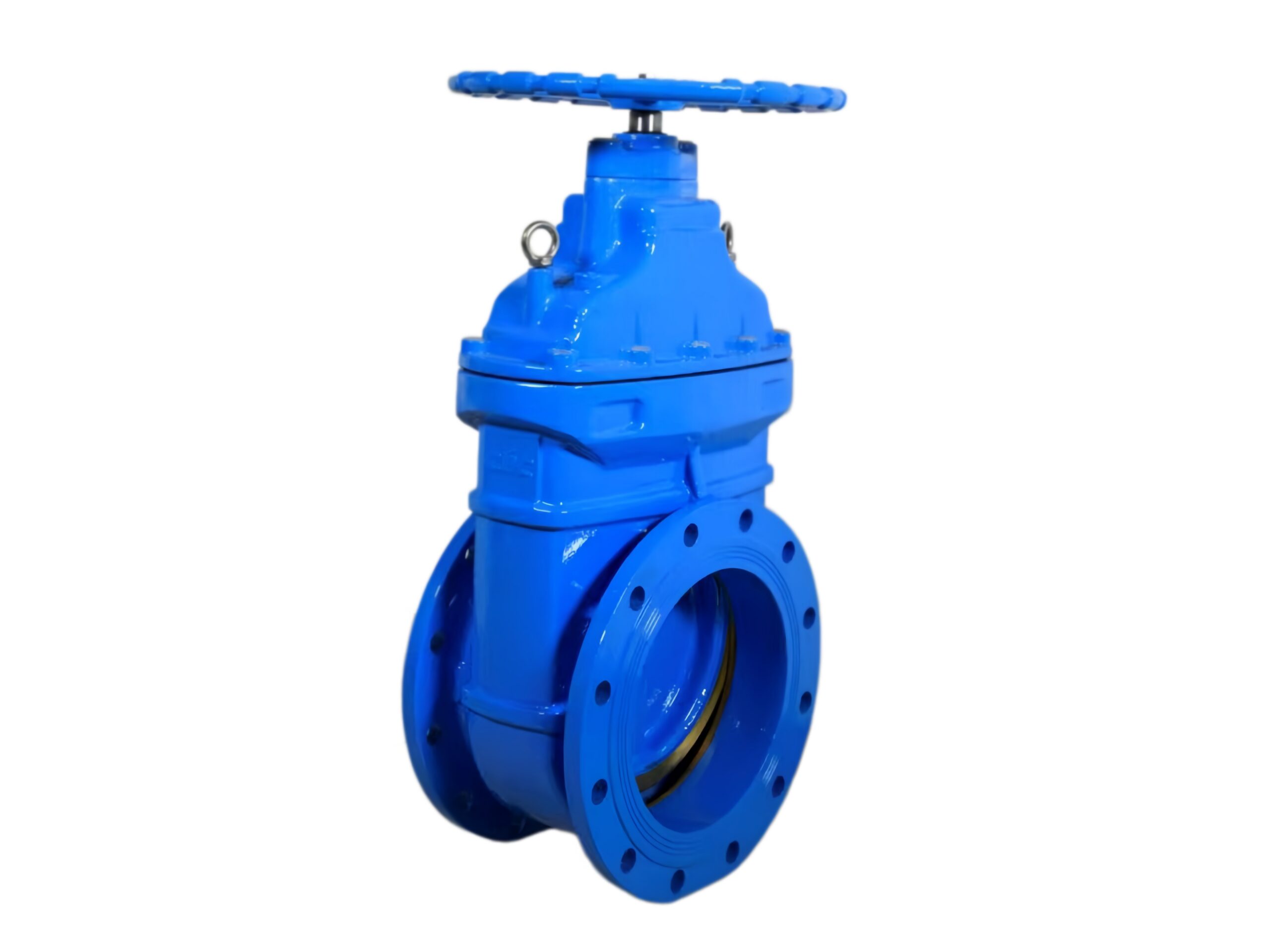 NRS Cast Iron Gate Valve Metal Seated