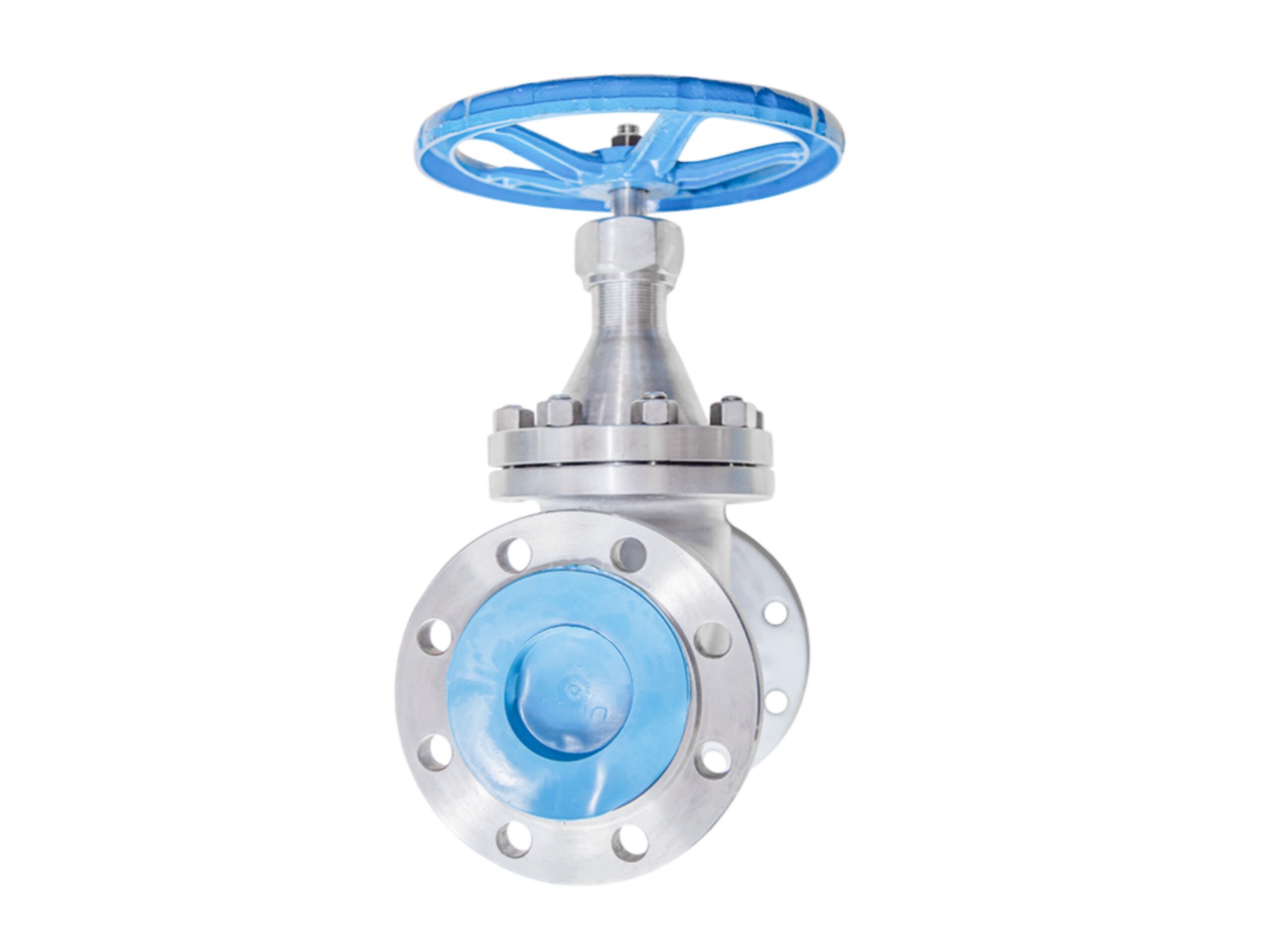 NRS SS Globe Valve-DN80 PN40 RF - Image 3