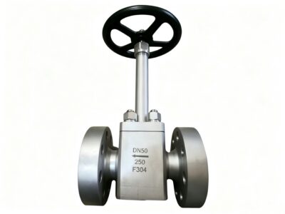 Open Die Forged Globe Valve for Cryogenic Service