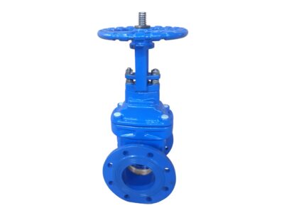 RS Cast Iron Gate Valve Metal Seated