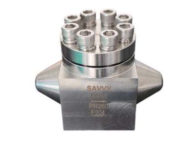 Cryogenic Lift Check Valve