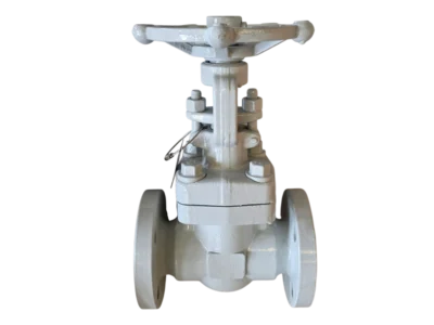 Forged Steel Parallel Slide Gate Valve