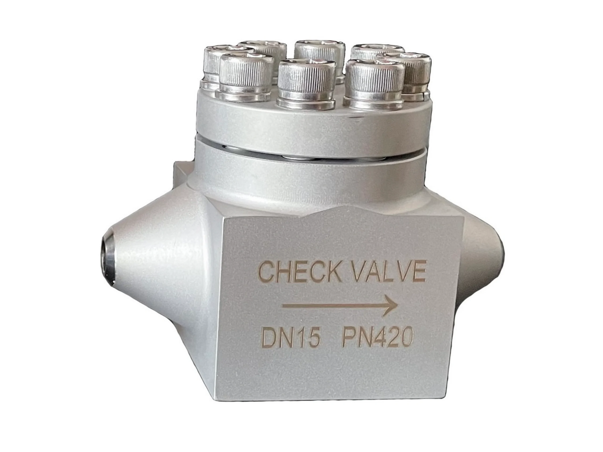 Cryogenic Lifting Check Valve - Image 2